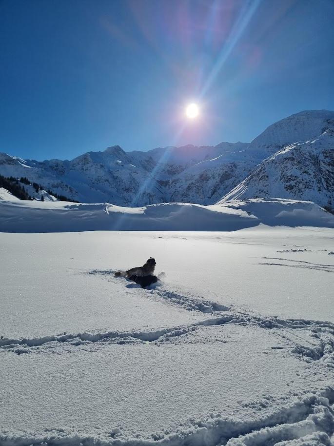 Kurcamping Erlengrund Bad Gastein Esterno foto